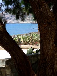 Falassarna Beach Hotel, Φαλάσσαρνα, courtyard-1