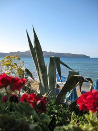 Villa Sen, Agia Marina, exterior-sandy-beach