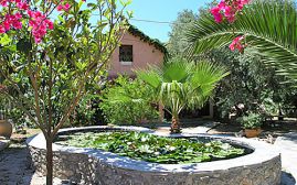 Olive Tree Cottages, Paleochora, outside-lake-I.