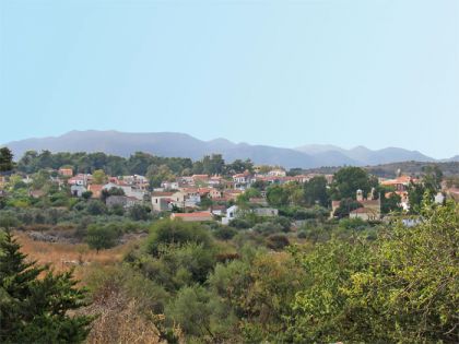 Vamos Village 1