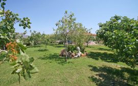 Eleana Apartments, Stavros, garden-1a