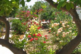 Villas Eva, Stalos, garden-with-flowers