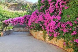 Villa Athina, Σταλός, gardens 1