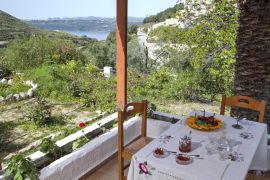 Villa Blossom, Μεγάλα Χωράφια, garden view 1a