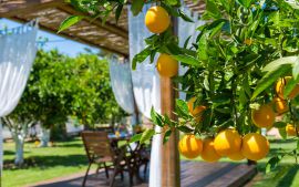 Nature Heaven Villa, Tavronitis, shaded-kiosk-mj-7