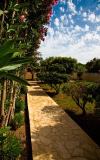 CHC Coriva Beach, Ierapetra, garden-g