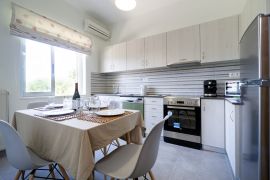 Welcome Apartment, Χρυσή Ακτή, kitchen area 1