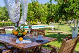 Nature Heaven Villa, Tavronitis, pergola garden 2