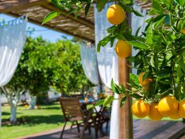 Nature Heaven Villa, Тавронитис, mediterranean garden 1a